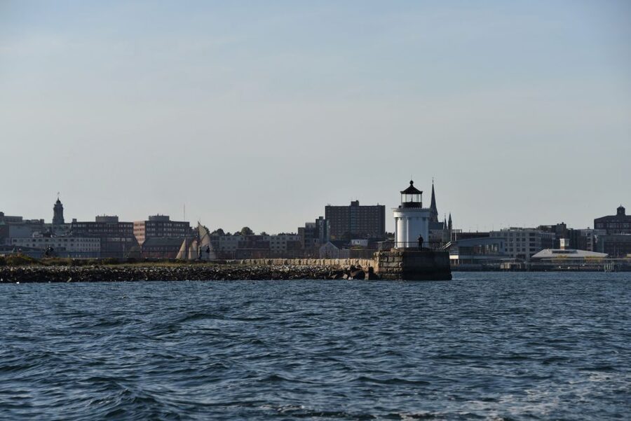 Portland: Sunset Lighthouse Cruise in Casco Bay with Drinks - Wildlife watching without making promises