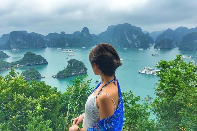 Premium Halong Bay Cruise – All Inclusive from Hanoi or Halong - What This Halong Bay Day Cruise Actually Delivers