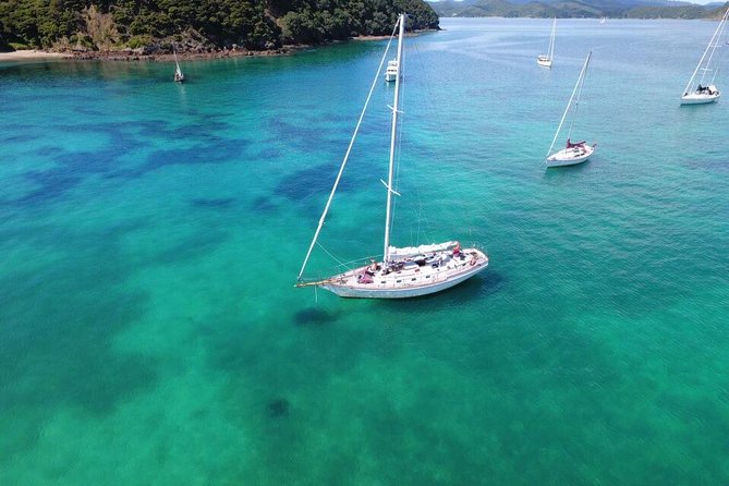 Private Charter Bay of Islands - Why a private charter changes the Bay of Islands