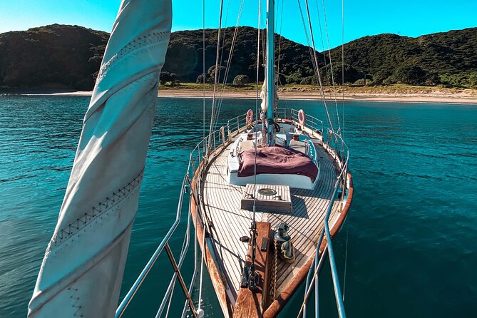 Private Charter Bay of Islands - Three hours aboard the Vigilant