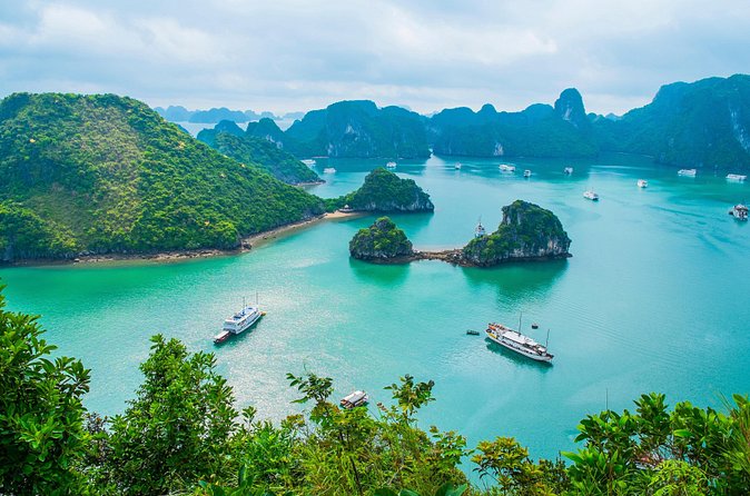 Private Halong Bay Sailing Cruise from Hanoi - Seafood lunch, swimming, and kayaking