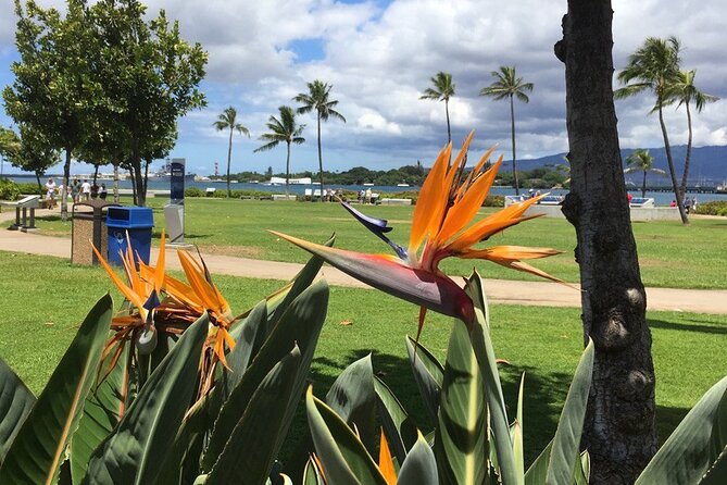 Private Hawaii Pearl Harbor Tours and North Shore (up to 12 people ) - Pearl Harbor sets the tone at 8:00 a.m.