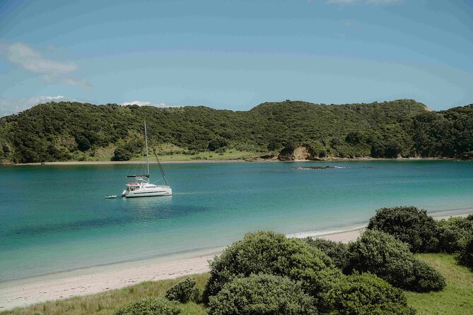 Private Luxury Sailing Catamaran Charter in the Bay of Islands - Practical booking advice