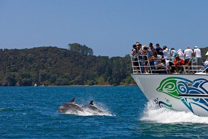 Private Tour: Bay of Islands Day Trip from Auckland - Parry Kauri Park and the giant trees