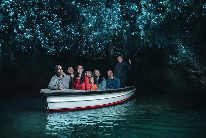 Private Tour: Bay of Islands Day Trip from Auckland - How private is the private tour?