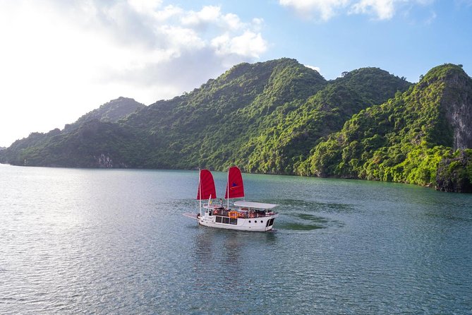 Private tour Halong Bay 1 Day Cruise with Cave, Kayaking - Why this one-day Halong Bay plan works
