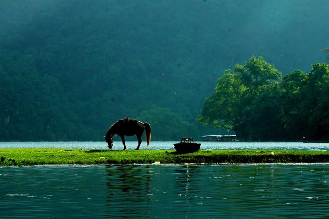 Private transfers HALONG <=> SAPA One Way (Free Hotel Pickup) - Why private transport can be worth $215