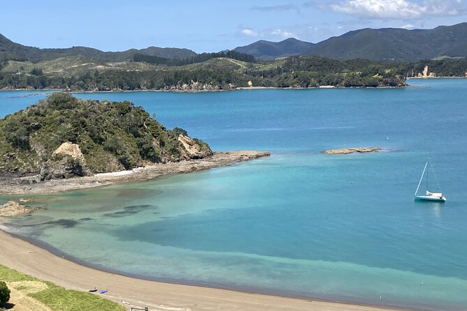 Private Yacht Charter and Island Excursions in the Bay of Islands - Choosing a predator-free island walk