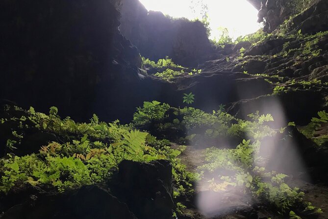 Pu Luong - Ninh Binh - Halong Bay 5 days - Day four: from Ninh Binh to an overnight cruise