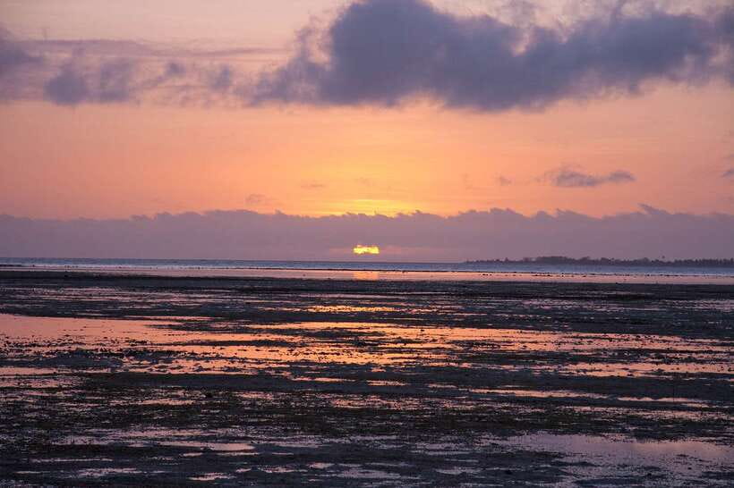 Puerto Princesa: Firefly Watching Bay Cruise with Dinner - Key points to know before booking