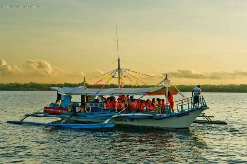 Puerto Princesa: Firefly Watching Bay Cruise with Dinner - The guide can shape the evening