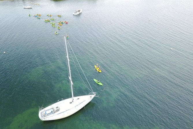 Puerto Rico Bio Bay Kayak Adventure Tour - The most important expectations about the glow
