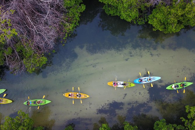 Puerto Rico Bio Bay Kayak Adventure Tour - How the guides shape the experience