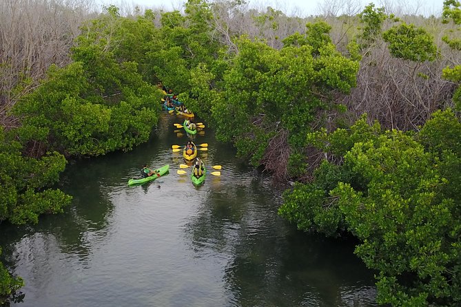 Puerto Rico Bio Bay Kayak Adventure Tour - Reaching the open water at Laguna Grande
