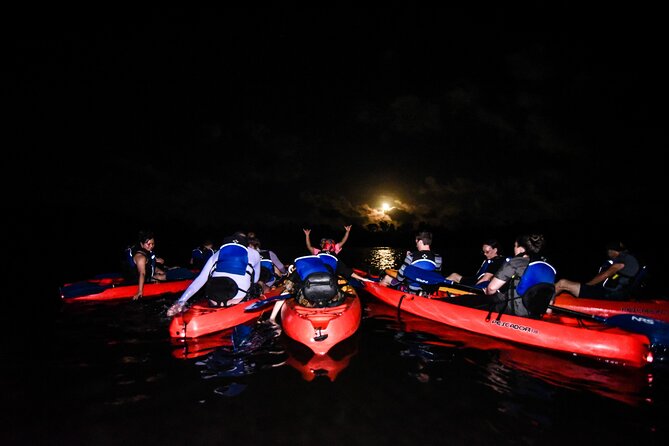 Puerto Rico Sunset Magic: Bio Bay Kayaking Tour from Fajardo - Key points to know before you paddle