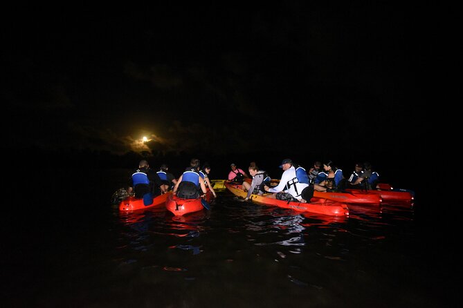 Puerto Rico Sunset Magic: Bio Bay Kayaking Tour from Fajardo - What the $66.90 price really buys you