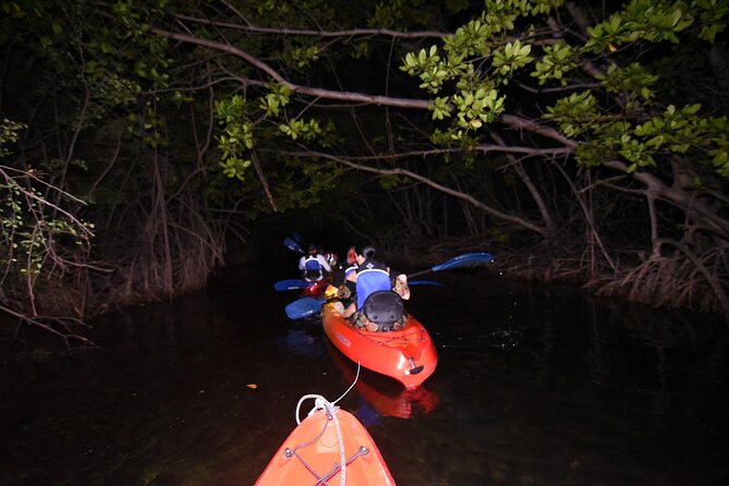 Puerto Rico Sunset Magic: Bio Bay Kayaking Tour from Fajardo - What the guides add to the experience