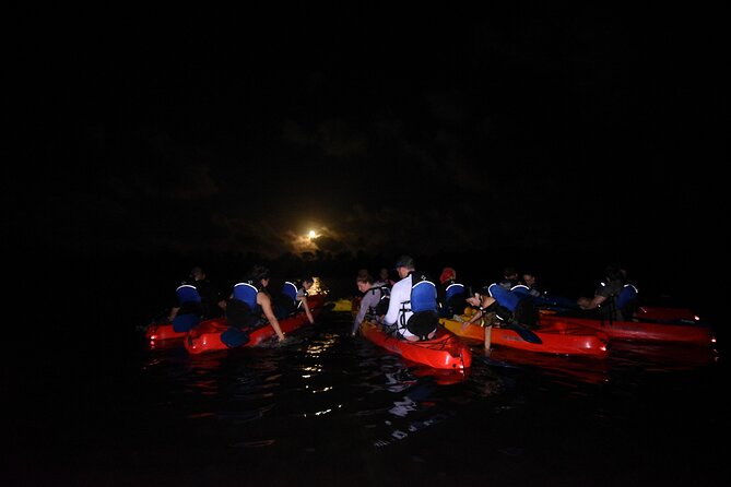 Puerto Rico Sunset Magic: Bio Bay Kayaking Tour from Fajardo - Cancellation and weather planning
