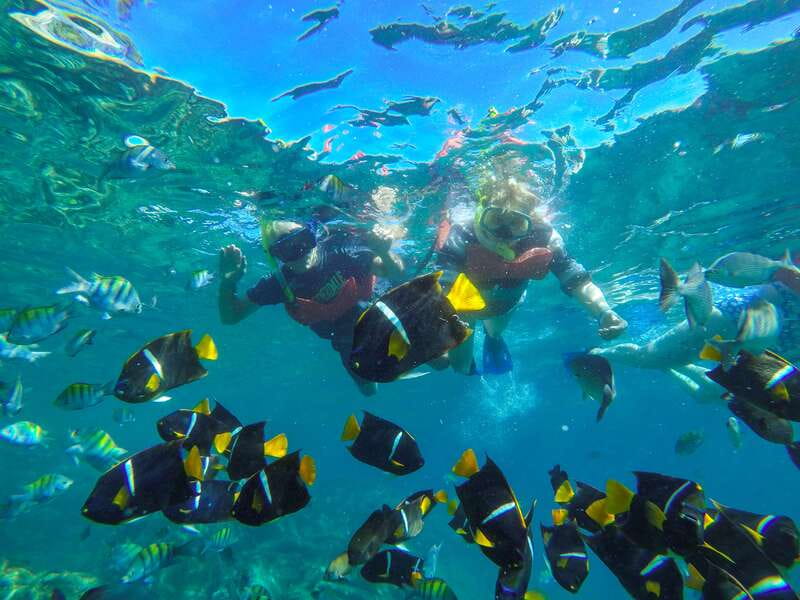 Puerto Vallarta: Luxury Day Sailing Tour of Bay of Banderas - Six hours away from Vallarta’s city noise