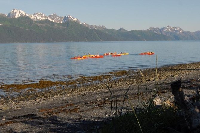 Resurrection Bay Kayaking Adventure - Key points to know before you paddle