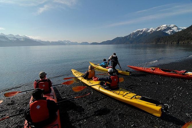 Resurrection Bay Kayaking Adventure - What the 3-hour-45-minute schedule feels like