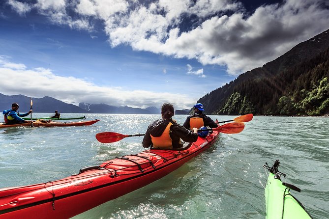 Resurrection Bay Kayaking Adventure - Guides who make the difference