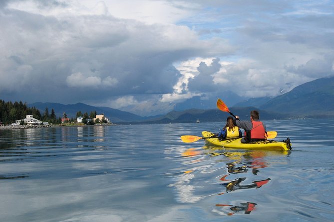 Resurrection Bay Kayaking Adventure - Who should book this Seward outing?