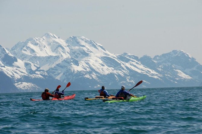 Resurrection Bay Kayaking Adventure - A first-time-friendly kayak, with one important catch