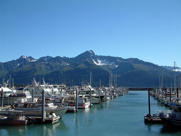 Resurrection Bay Spring Wildlife Cruise - Key points to know before you book