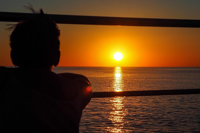 Roebuck Bay Sunset & Snubfin Dolphin Cruise - Key things to know before you book