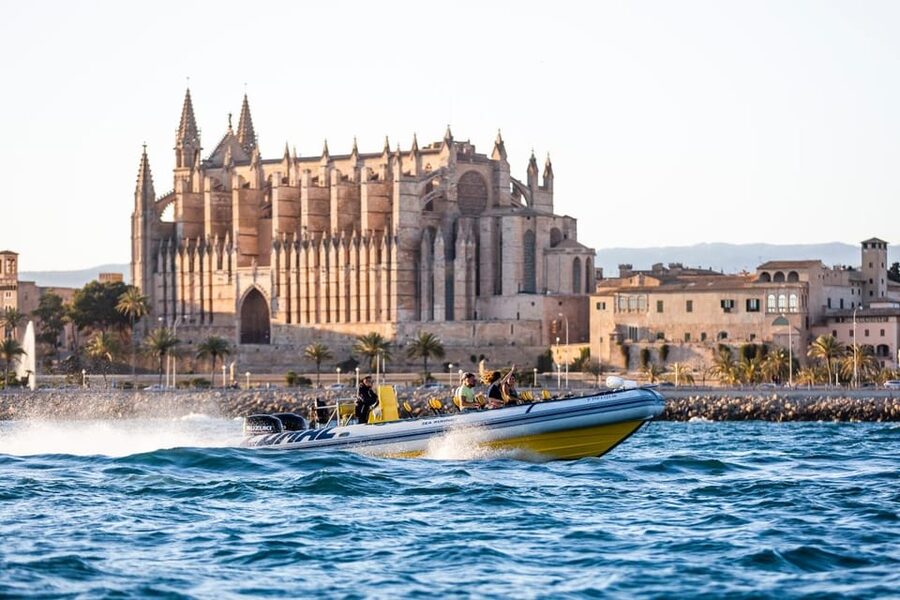 S'Arenal: Boat trip to Illetas with views of Palma - Snorkeling, swimming, and the onboard bar