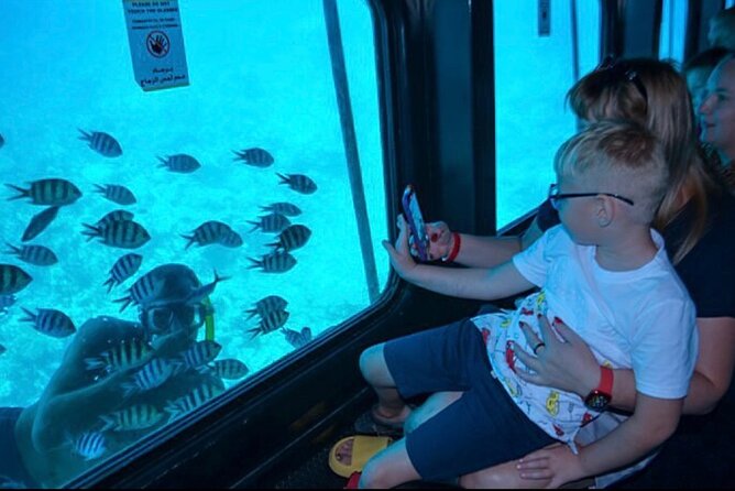 Safaga & Makadi Bay: Royal Seascope Submarine cruise with pickup - The 45-minute underwater viewing session