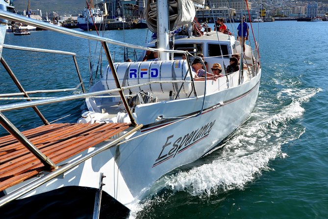 Sailing in The Bay by Catamaran (One Hour) - Wildlife sightings are a bonus