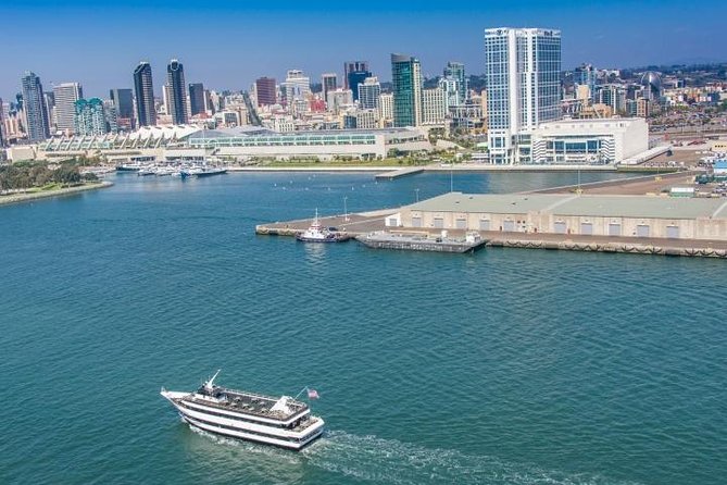 San Diego: Harbor Cruise - Coronado Bridge, skyline views, and wildlife