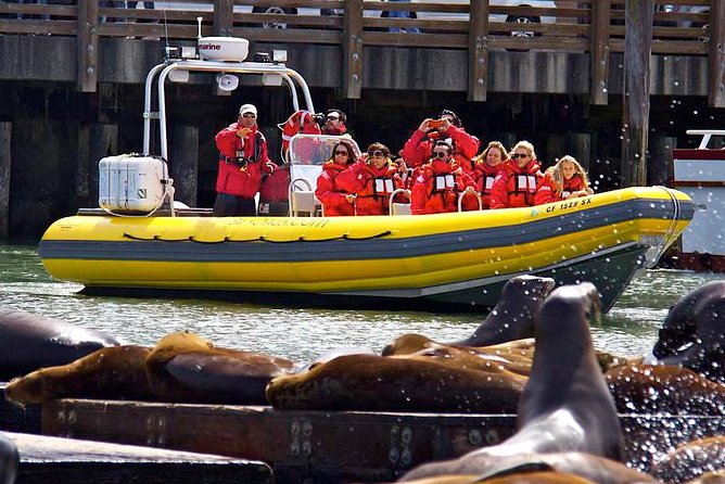 San Francisco Bay Adventure Sightseeing Cruise - The Presidio and Fort Point