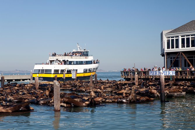 San Francisco Bay Cruise - Why seeing San Francisco from the bay matters