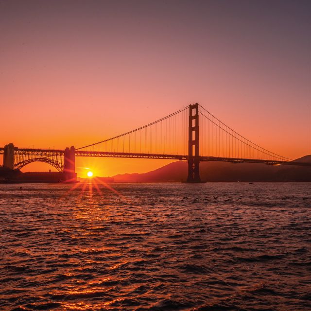 San Francisco: Golden Gate Bridge and Bay Sunset Cruise - The California sea lions provide a lively opening