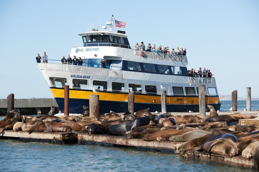 San Francisco: Inside Alcatraz Tour with Bay Cruise - Who will enjoy this experience most?