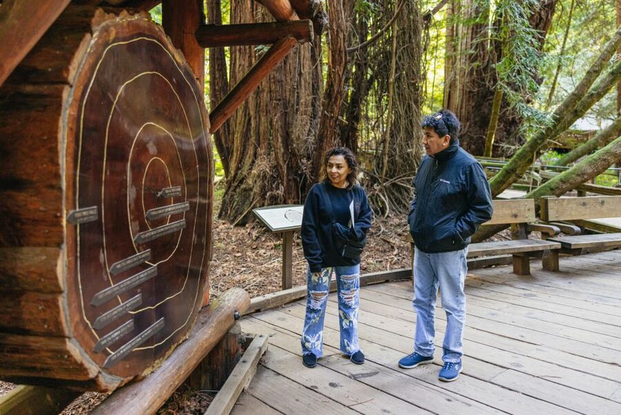 San Francisco: Muir Woods, Sausalito and SF Bay Cruise - Key points at a glance