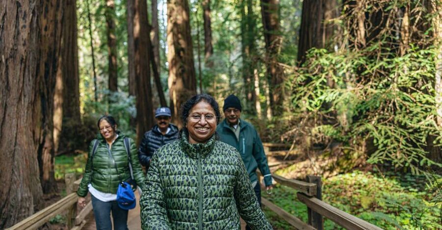 San Francisco: Muir Woods, Sausalito and SF Bay Cruise - Muir Woods: 90 minutes among ancient redwoods