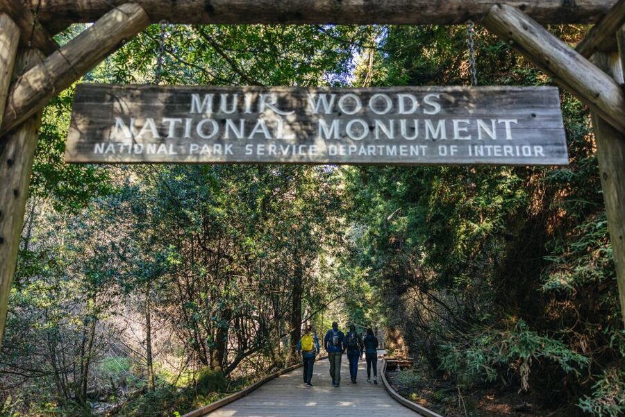 San Francisco: Muir Woods, Sausalito and SF Bay Cruise - Sausalito: pretty, polished, and short on time