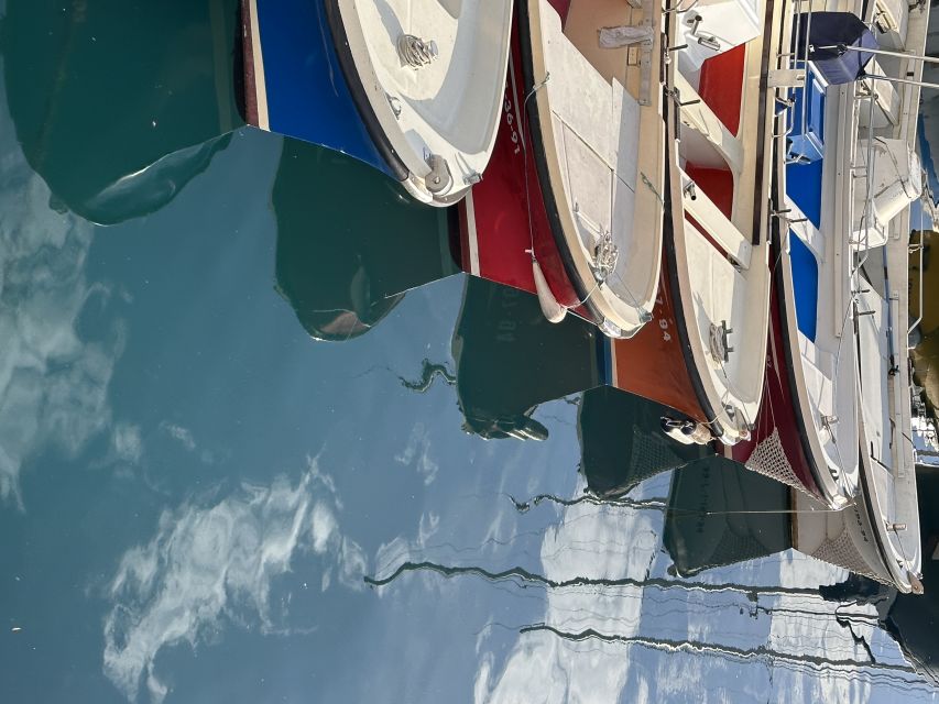 San Sebastian: Sustainable Catamaran Cruise with Audio Guide - Who will enjoy this cruise most
