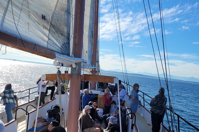 Seattle Sailing Harbor Tour - Who will enjoy this sailing most?