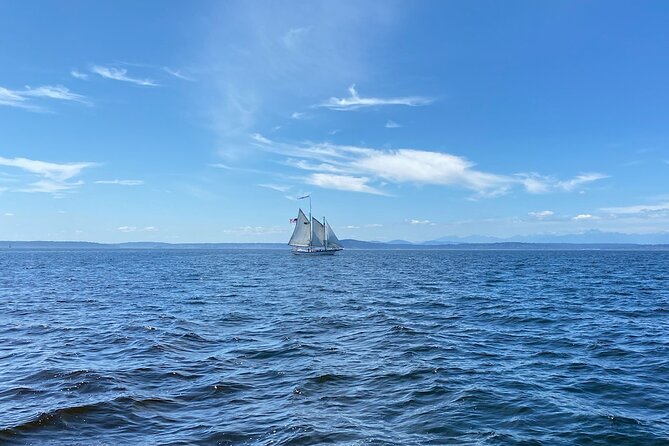 Seattle Sailing Harbor Tour - What you see from Elliott Bay