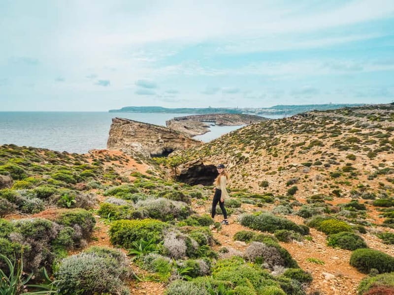 Sliema: Three Bay Cruise with Lunch & Optional Transfers - Booking advice for a smoother day