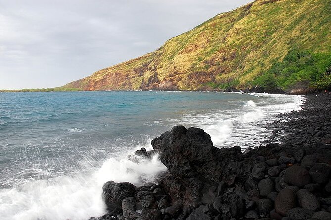 Small-Group Snorkel at Kealakekua Bay in Captain Cook, Big Island - Wildlife beyond the reef