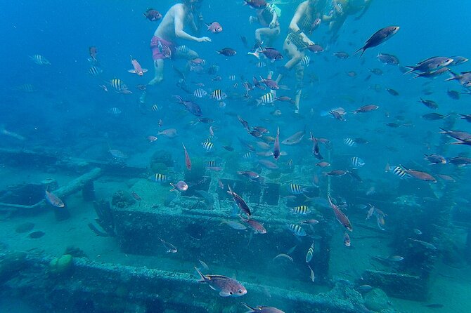 Snorkel boat trip: Sunken ship, old dutch fort & spanish bay - Timing, meeting point, and practical planning