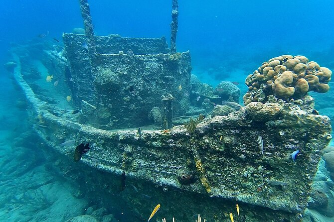 Snorkel boat trip: Sunken ship, old dutch fort & spanish bay - Who should book this snorkeling trip?