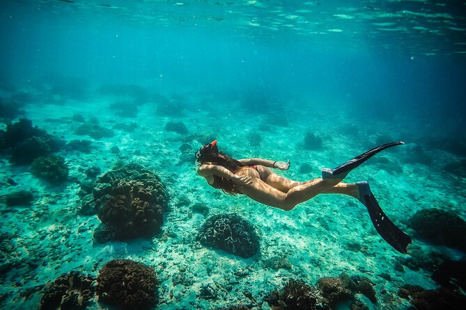 Snorkel boat trip: Sunken ship, old dutch fort & spanish bay - The Tugboat Wreck at five meters