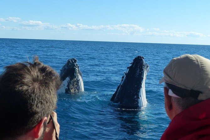 Spirit of Hervey Bay Whale Watching Cruise - Setting out from Urangan for Platypus Bay